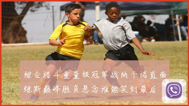 综合格斗重量级冠军战纳干诺直面琼斯巅峰胜负悬念谁能笑到最后