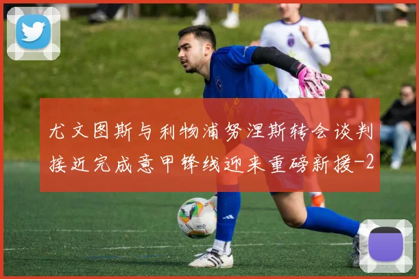 尤文图斯与利物浦努涅斯转会谈判接近完成意甲锋线迎来重磅新援