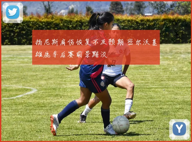 扬尼斯肩伤恢复不及预期 密尔沃基雄鹿季后赛前景黯淡