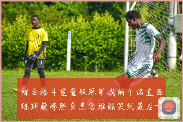 综合格斗重量级冠军战纳干诺直面琼斯巅峰胜负悬念谁能笑到最后